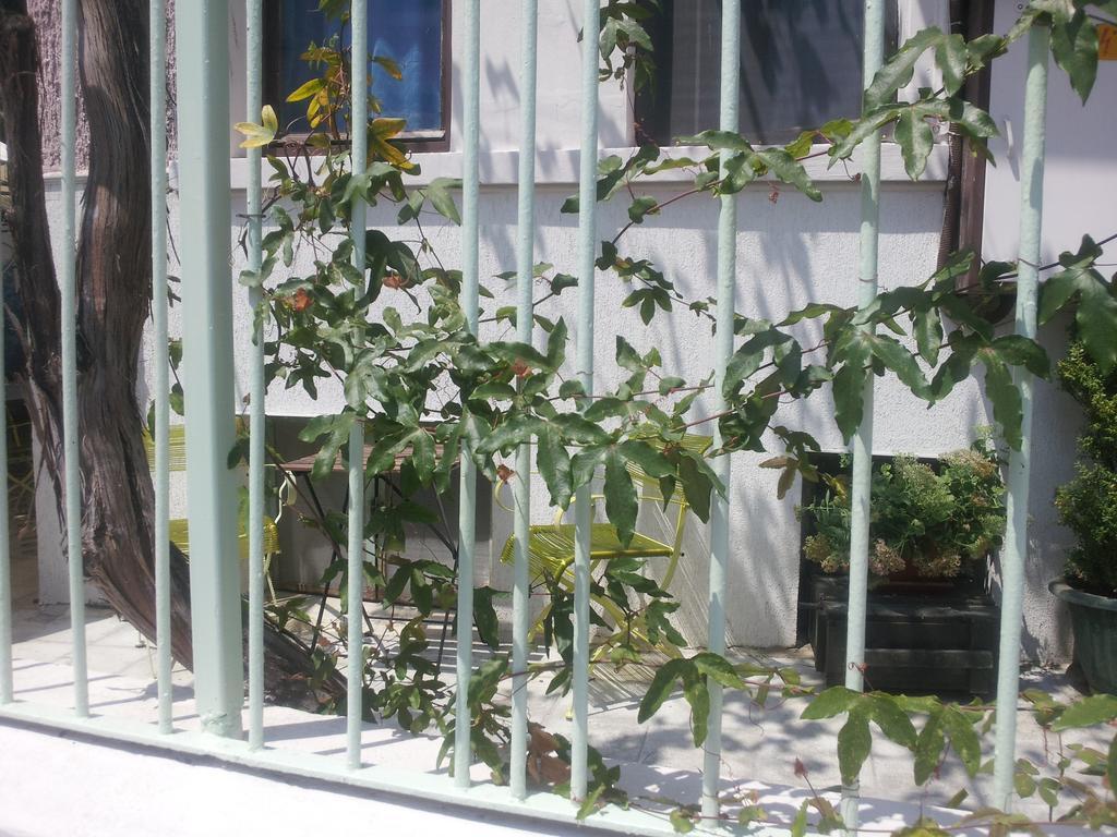 Old House Hostel Burgas Luaran gambar